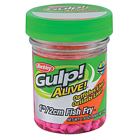 Gulp! Alive! Fish Fry - Pink