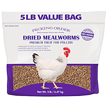 5 lbs Dried Mealworms Premium Treat for Poultry