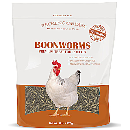 32 oz Boonworms Premium Treat for Poultry