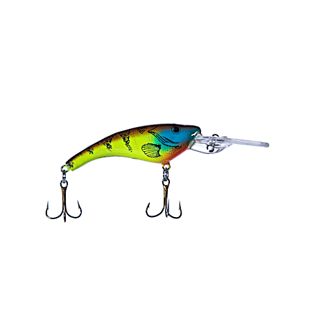 Ripshad – Blue Gill