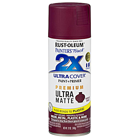 Rust-Oleum 12 oz Painter's Touch 2X Ultra Cover Premium Ultra Matte Spray Paint & Primer
