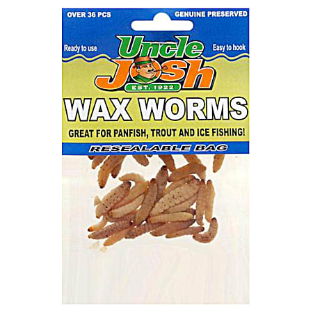 Natural Wax Worms