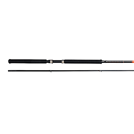 Mr Micro 10 ft Spinning Glass Fishing Rod
