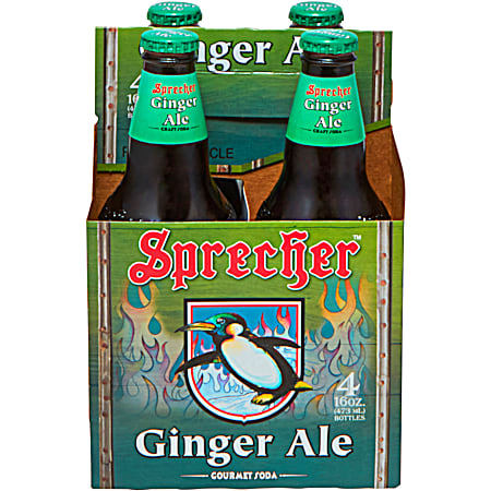 16 oz Ginger Ale Soda - 4 pk