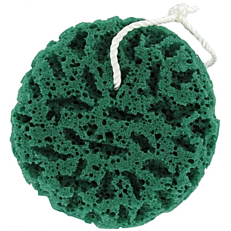 Sponge On A Rope Assorted