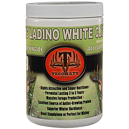 King Ladino White Clover Pounder 1 lb Food Plot Seed