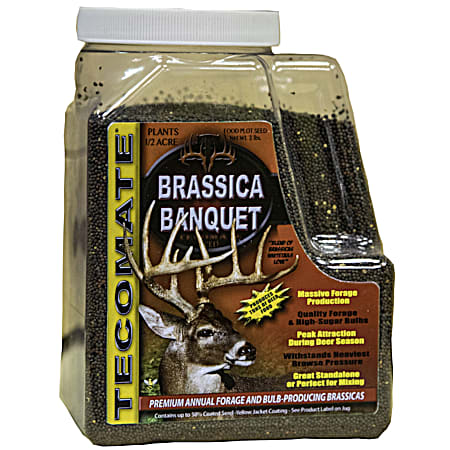 Brassica Banquest 3 lb Food Plot Seed