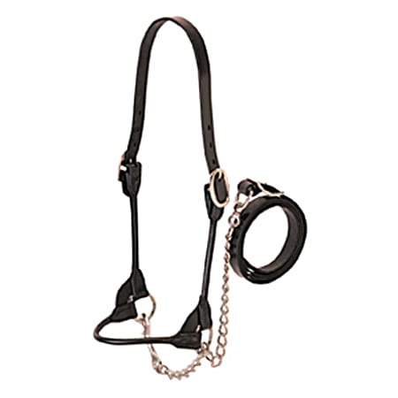 Weaver Leather Rounded Show Heifer Halter
