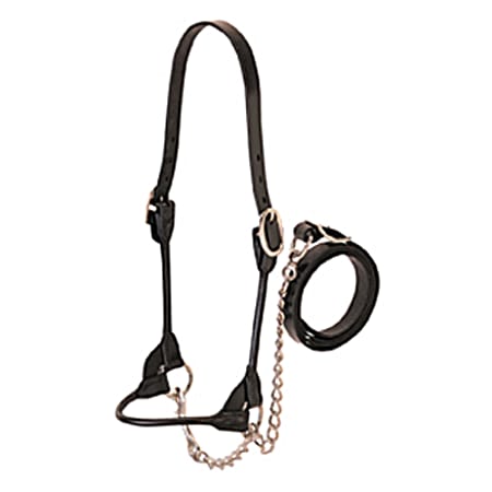 Weaver Leather Rounded Show Calf Halter