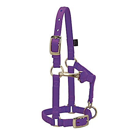 Weaver Leather 5/8 in Average Purple Miniature Horse Adjustable Chin & Throat Snap Halter