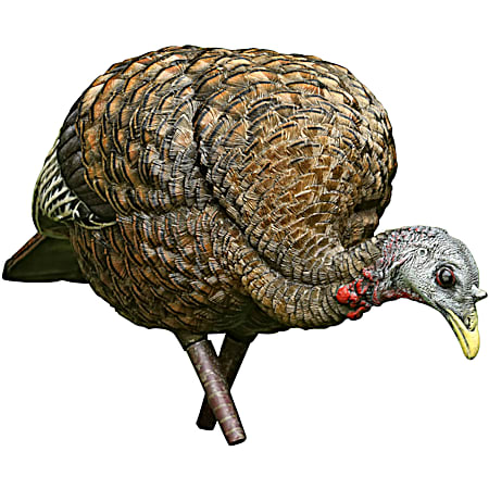LCD Feeder Hen Turkey Decoy