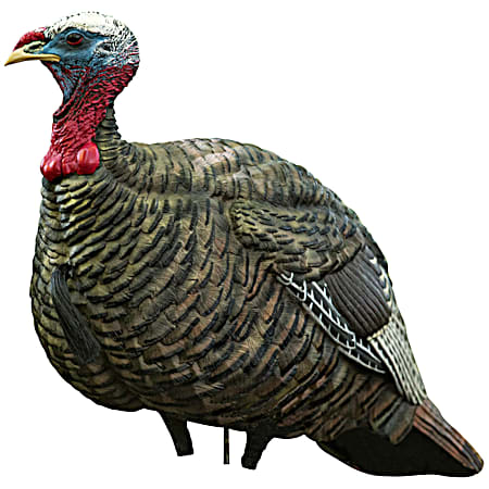 LCD Quarter Strut Jake Turkey Decoy