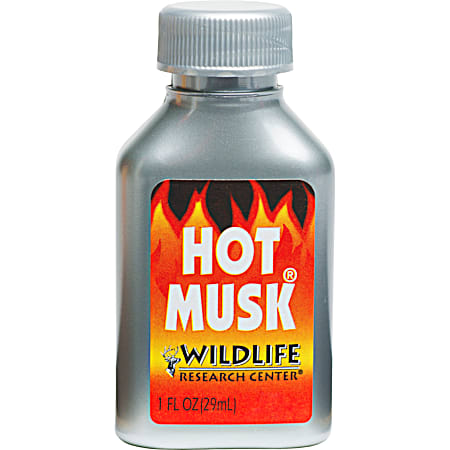 Hot Musk Deer Attractant