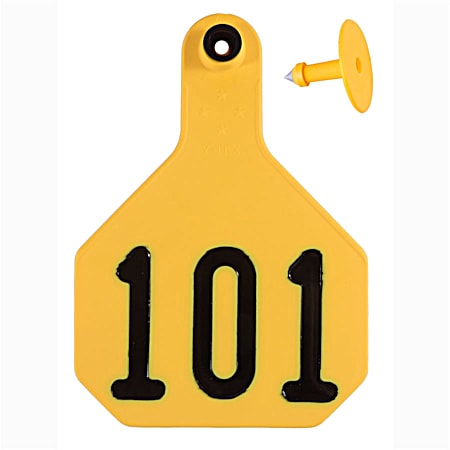 All American Large Yellow Combo Numbered 101-125 4 Star Ear Tags - 25 Pk
