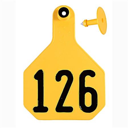Large Yellow Combo Numbered 126-150 4 Star Ear Tags - 25 Pk