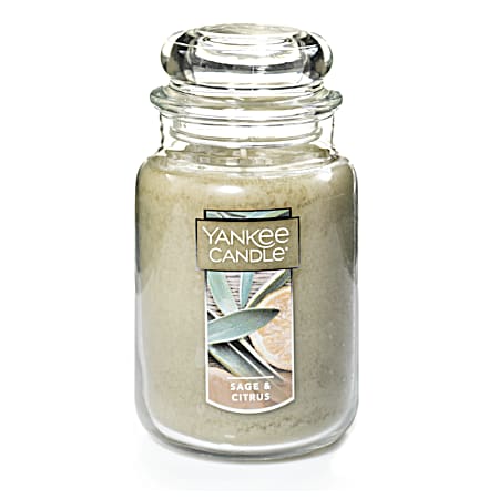 Yankee Candle 22 oz Sage & Citrus Classic 1-Wick Jar Candle