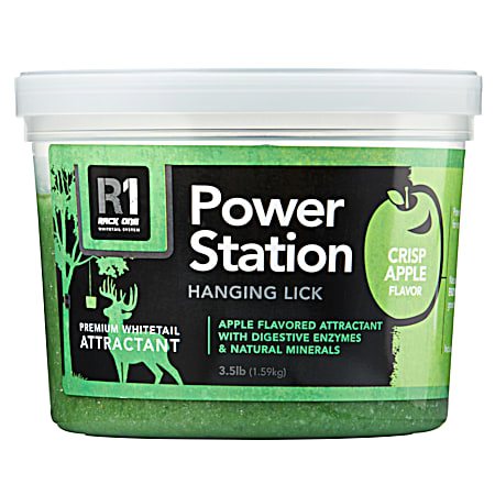 Power Station 3.5 lb Crisp Apple Hanging Lick