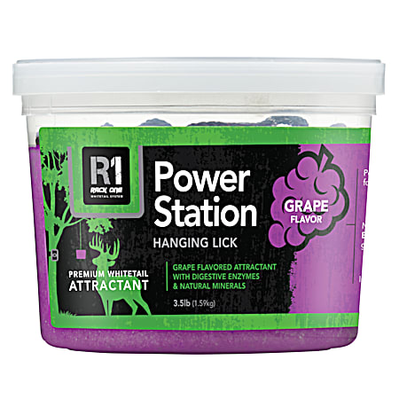 Power Station 3.5 lb Grape Hanging Lick