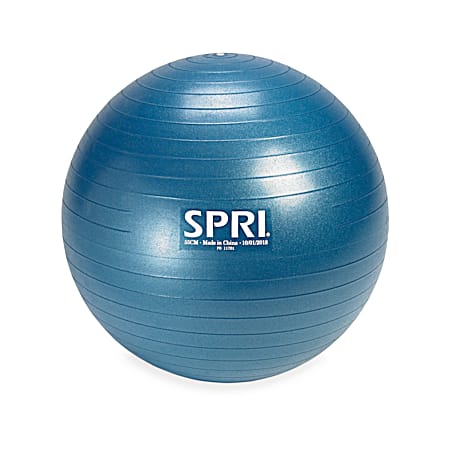 55cm Anti-Burst Weighted Performance Ball