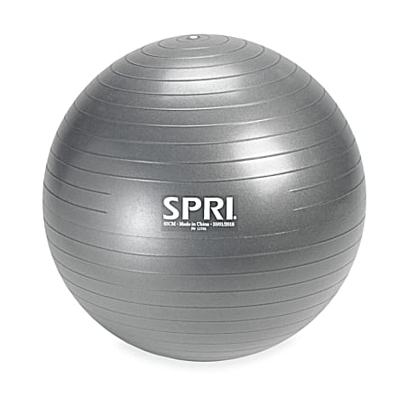 SPRI 65cm Anti-Burst Weighted Performance Ball