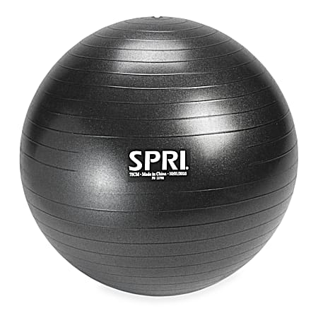 SPRI 75cm Anti-Burst Weighted Performance Ball
