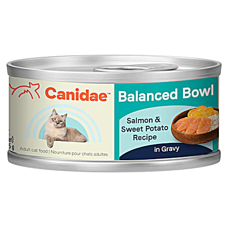 Precision Balanced Bowl Salmon & Sweet Potato Recipe Cat Wet