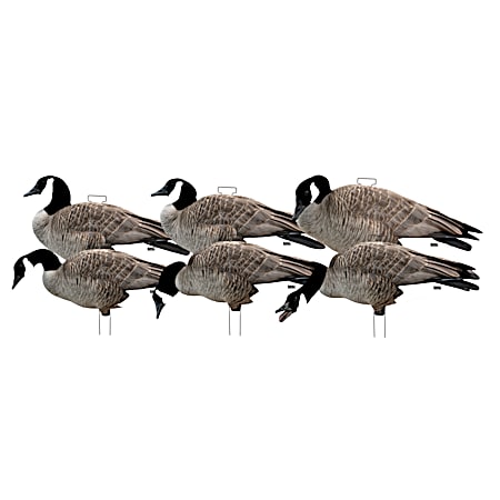 Pro-Grade Silhouette Decoys-Canada Goose w/Flocked Heads