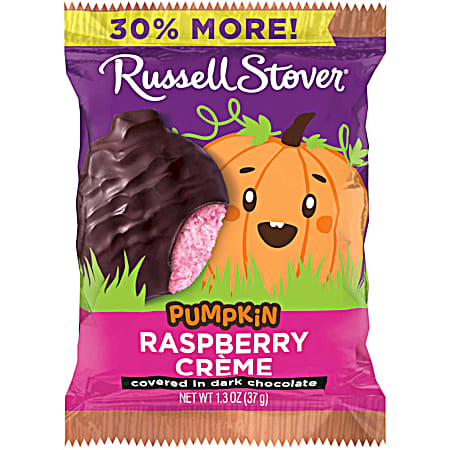 1.3 oz Dark Chocolate Raspberry Crème Pumpkin