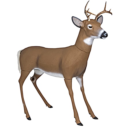 Scrapper Buck