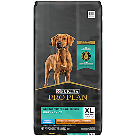 Development Puppy Large Breed Chicken & Rice Formula Dry Dog Food, 47 lbs