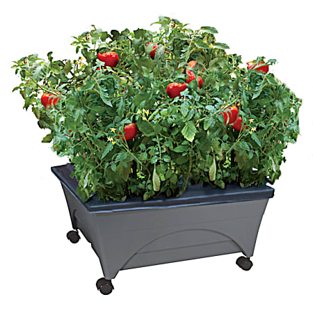City Picker Raised Bed Grow Box w/ Casters