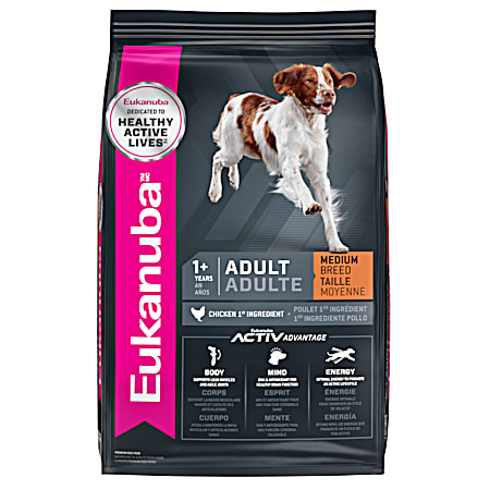 Maintenance Adult Dry Dog Food
