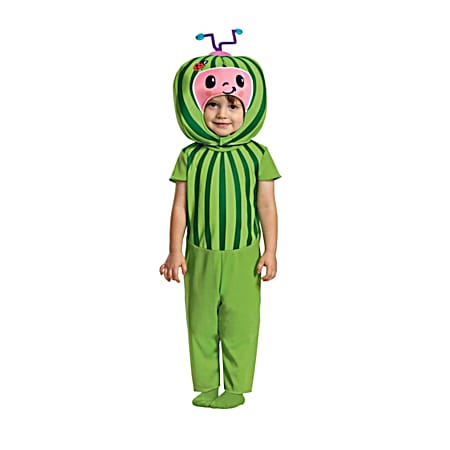 Child Costume - Assorted