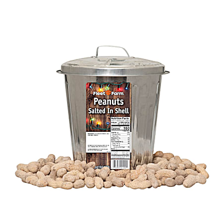 20 oz Peanuts Salted-In-Shell