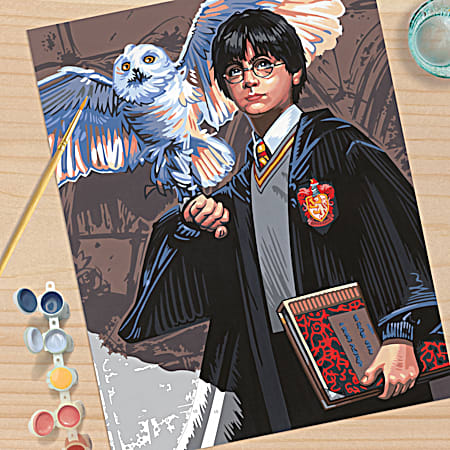 Harry Potter Owl Paint By Number Kit