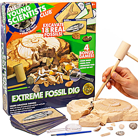 Extreme Fossil Dig