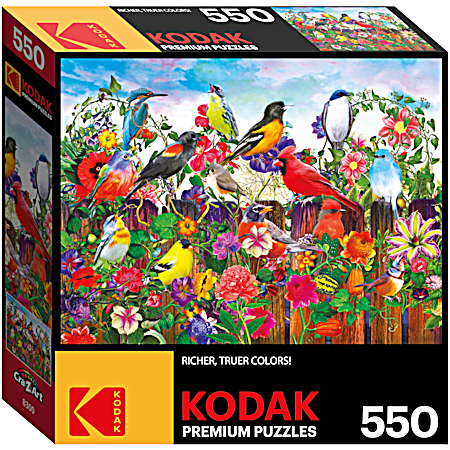 Kodak Premium 550-Pc Puzzles - Assorted