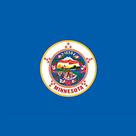 2 ft x 3 ft Minnesota State Flag