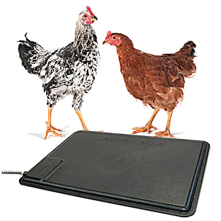 K&H Pet Products Thermo-Chicken Heated Pad