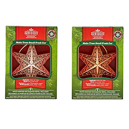 Silver/Gold Star Scented Ornament - Assorted
