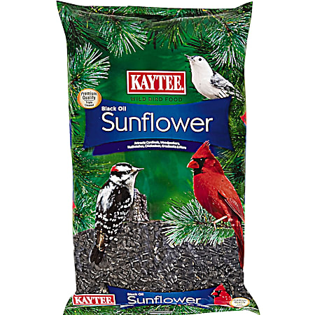 Black Oil Sunflower Wild Bird Food, 10 lb