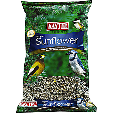 5 Lb Striped Sunflower Seed