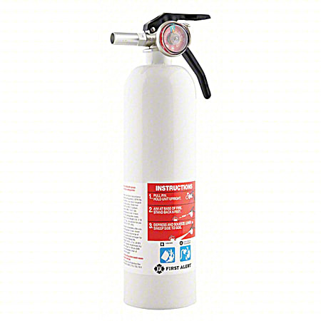 5-B-C Rechargeable Recreation Fire Extinguisher