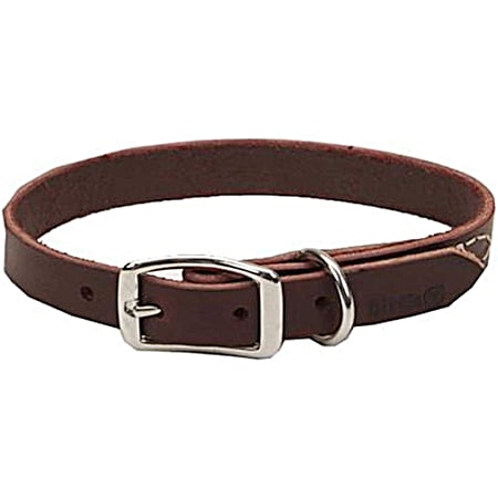 Latigo Leather Town Dog Collar