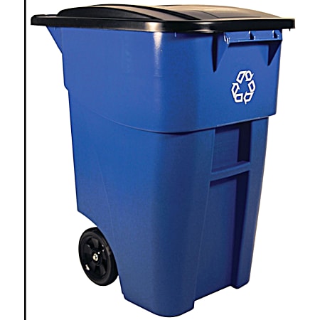 50 Gal Blue Rollout Recycle Container
