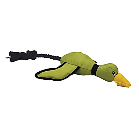 Green Flying Duck Dog Toy