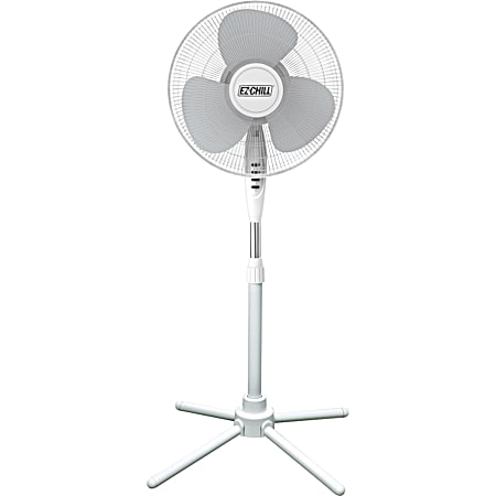 Fans