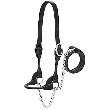 Rounded Show Calf Halter