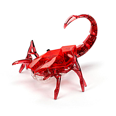 Scorpion - Assorted
