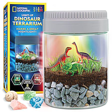 Light-Up Dinosaur Terrarium
